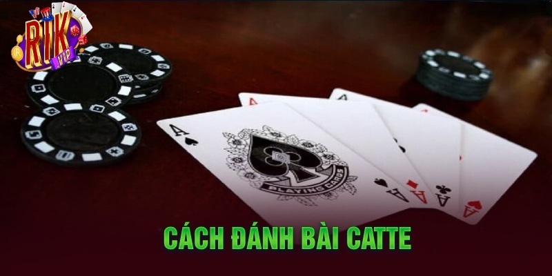 Cách chơi Catte hướng dẫn dễ hiểu