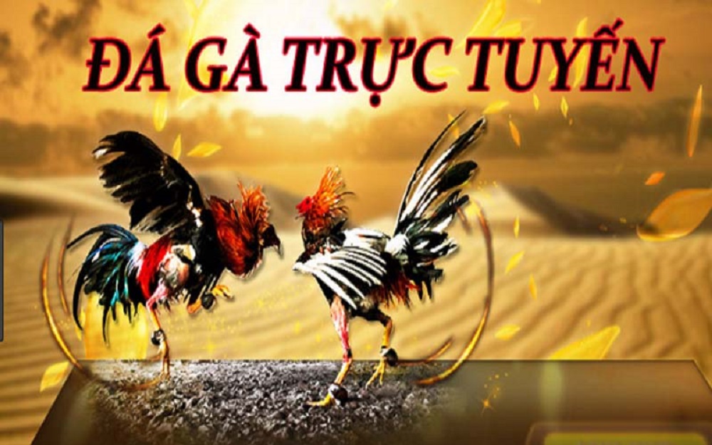 trực tuyến đá gà