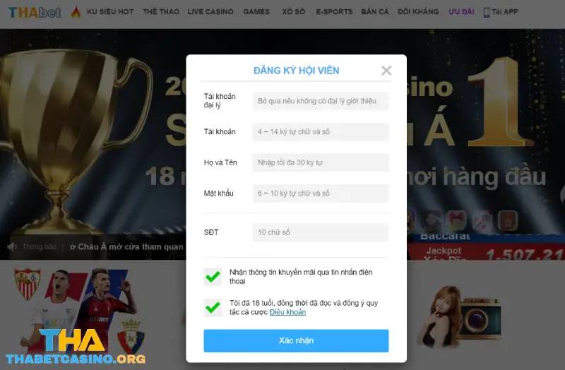 Các thông tin mà người chơi cần nhập khi đăng ký THABET